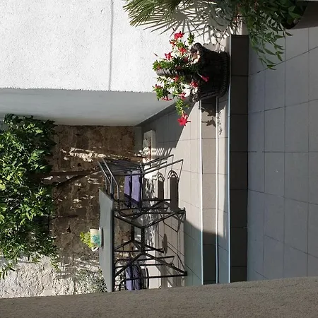 Lemon Tree Guest house