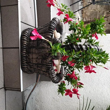 Lemon Tree Guest house