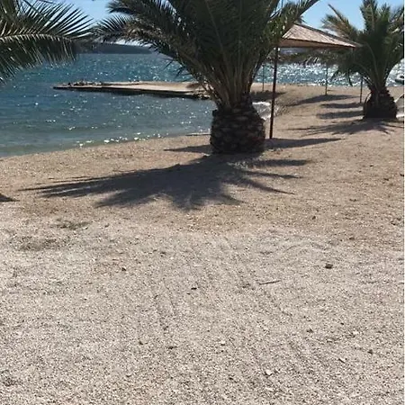 Lemon Tree ドニー・セゲット