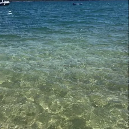 Lemon Tree ゲストハウス ドニー・セゲット