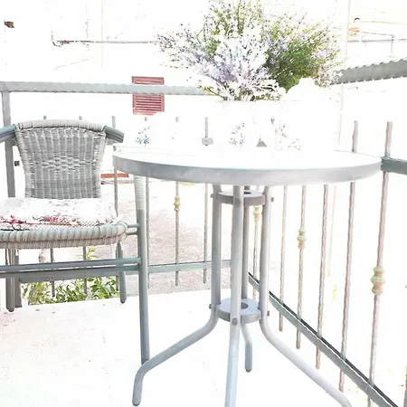 Lemon Tree ドニー・セゲット