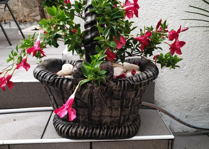 Lemon Tree Donji Seget