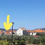 Lemon Tree Penzion