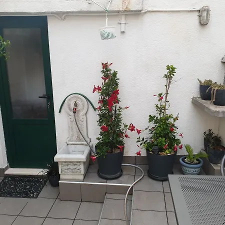 Penzion Lemon Tree 3*