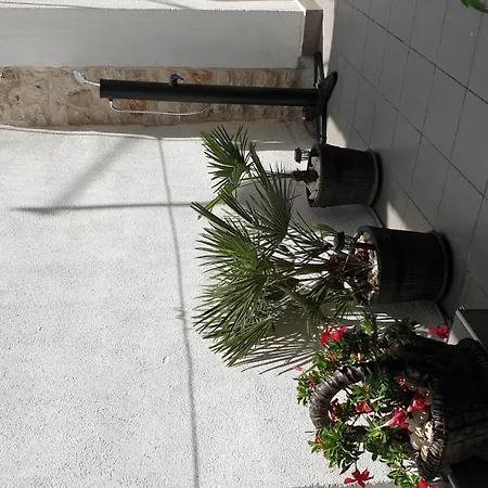Lemon Tree 3*