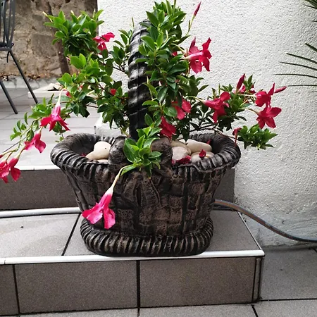 Lemon Tree Donji Seget