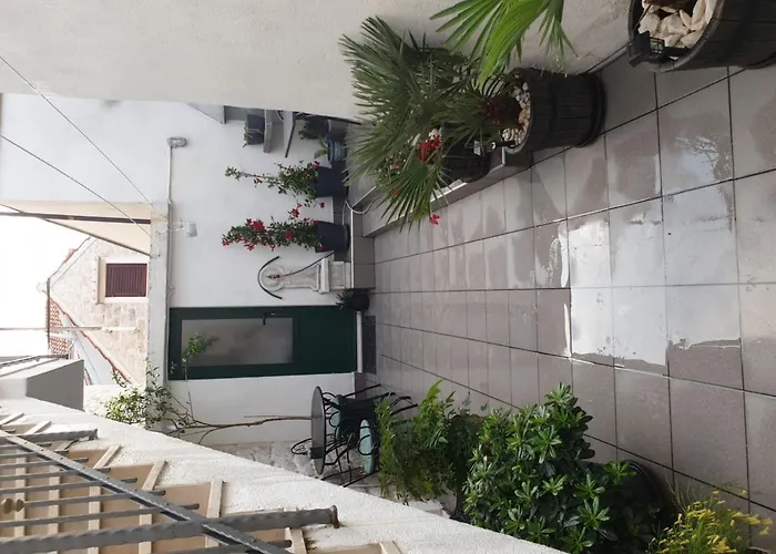 Lemon Tree سيغيت دونيي