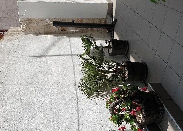 Lemon Tree 3*