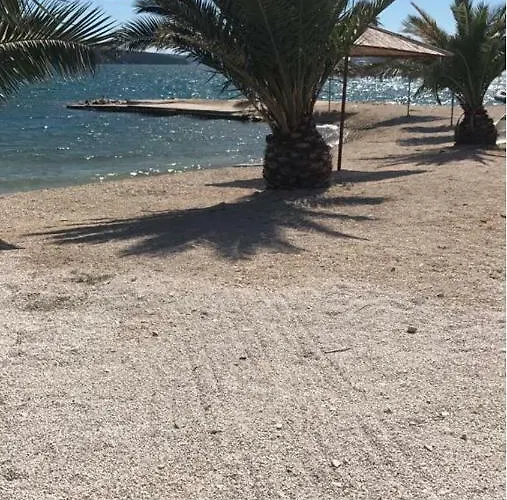 Lemon Tree سيغيت دونيي