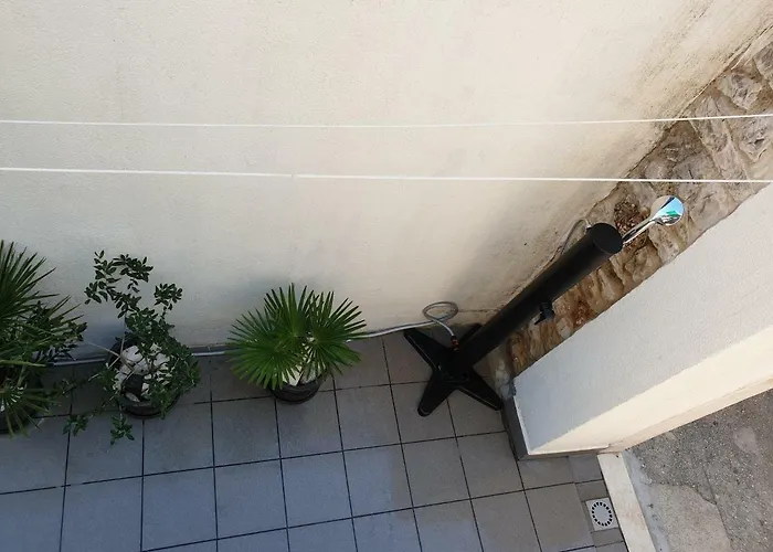 Lemon Tree 3* سيغيت دونيي